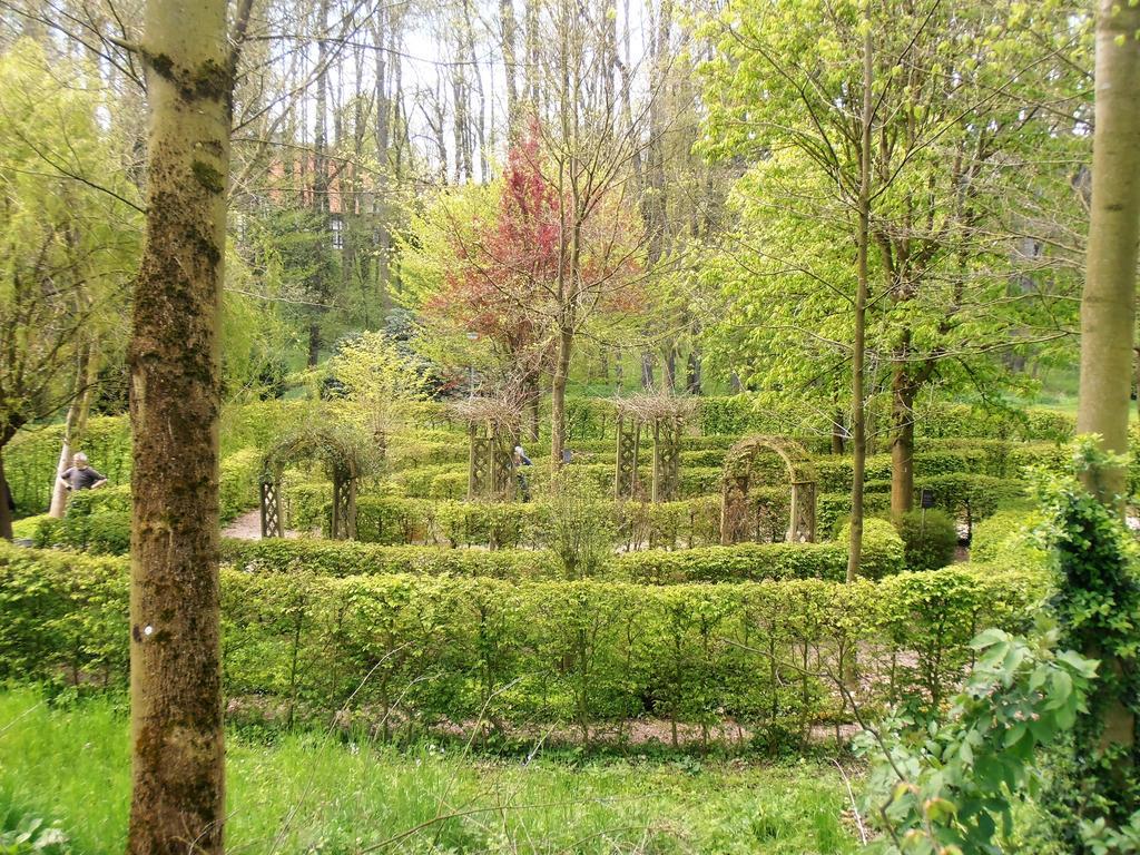 Gasthaus Schadde Vlotho Exteriör bild
