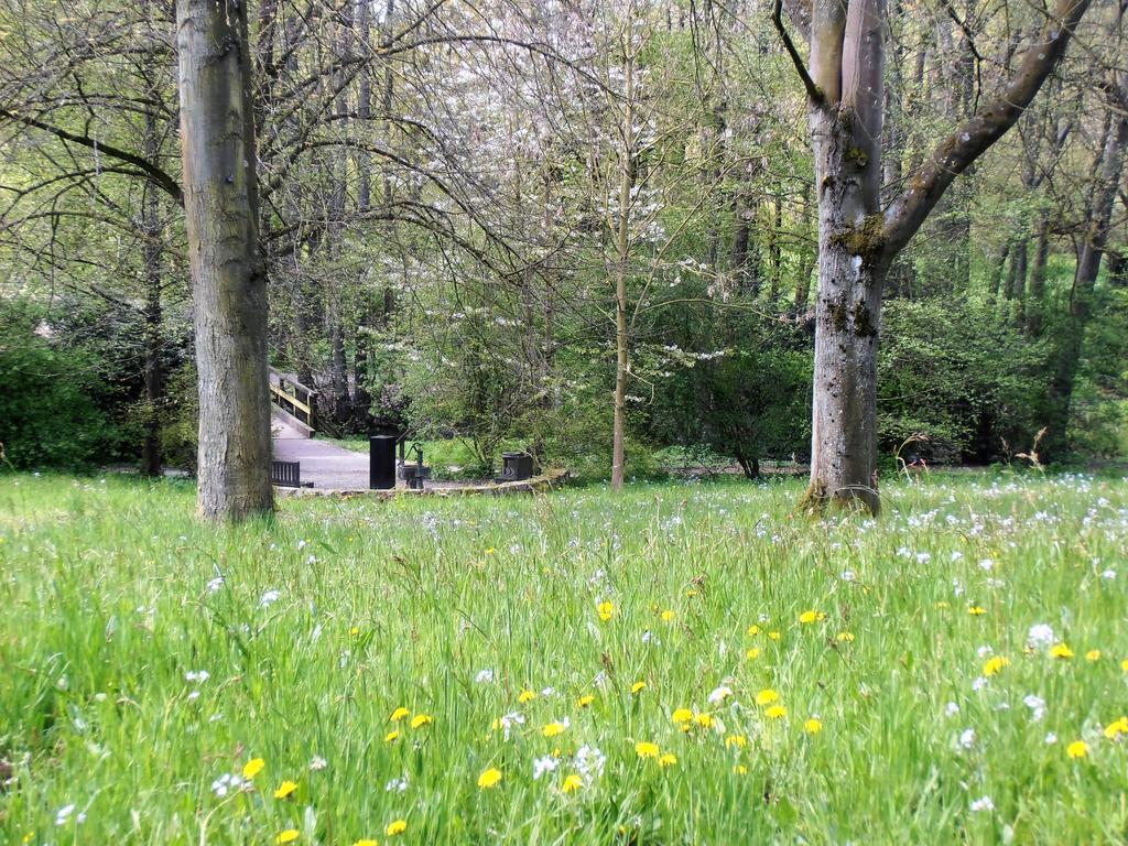 Gasthaus Schadde Vlotho Exteriör bild
